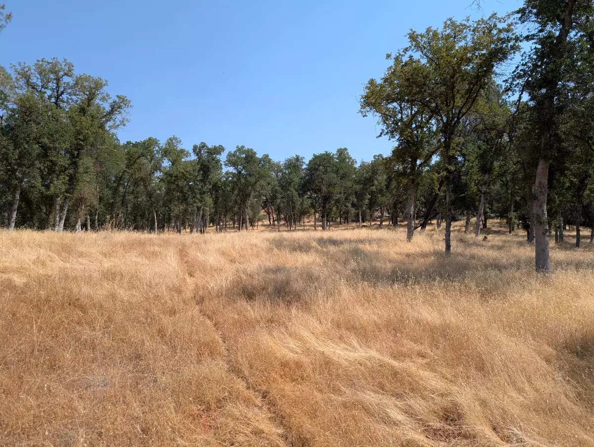Sonora, CA 95270,18340 Henry D. CT