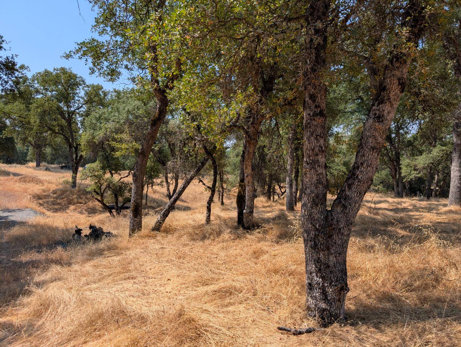 Sonora, CA 95270,18340 Henry D. CT