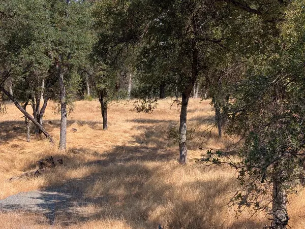 Sonora, CA 95270,18340 Henry D. CT
