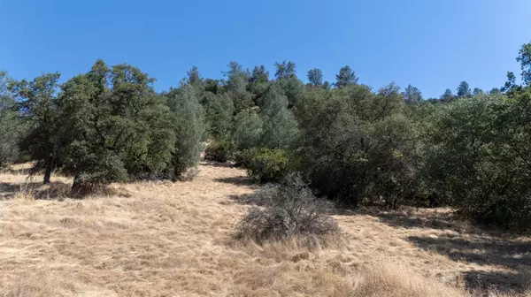 Jamestown, CA 95327,13044 Kanaka DR