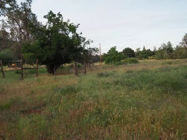 Manton, CA 96059,21705 S Powerhouse RD