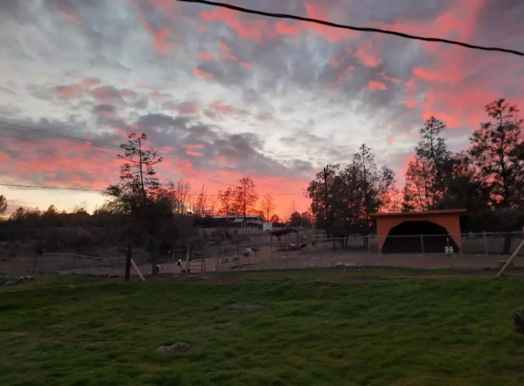 Garden Valley, CA 95633,5688 Mount Murphy RD