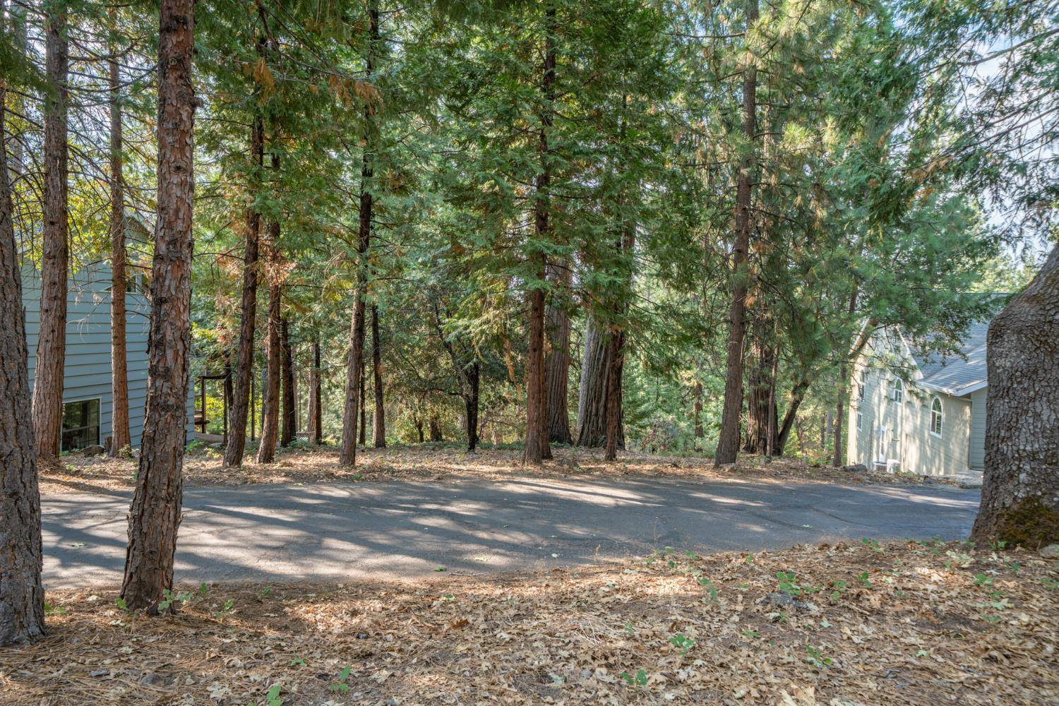 Murphys, CA 95247,51 Canterwood LN