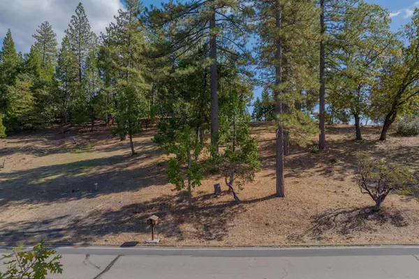 323 Forest Meadows DR, Murphys, CA 95247