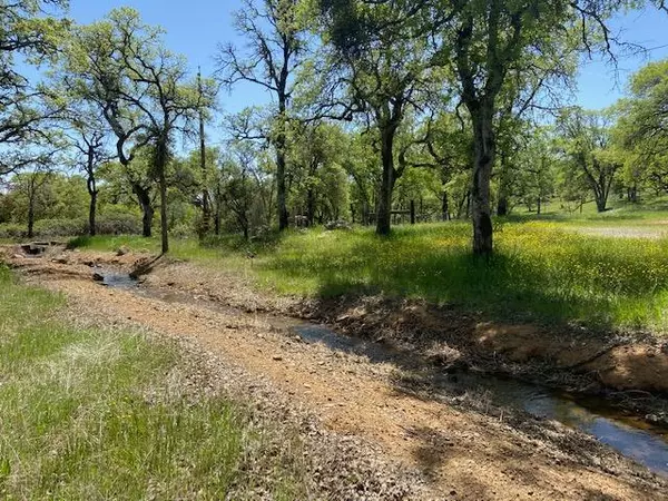 Grass Valley, CA 95949,11560 Still RD