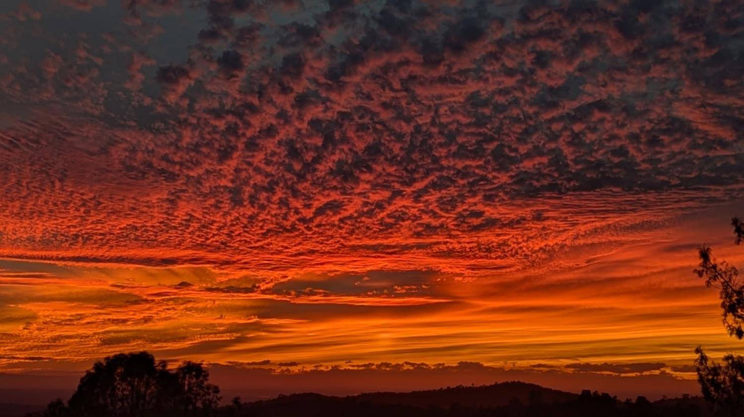 Grass Valley, CA 95949,23398 Soili RD