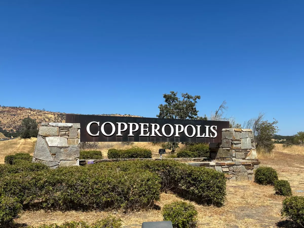 Copperopolis, CA 95228,3146 Arrowhead