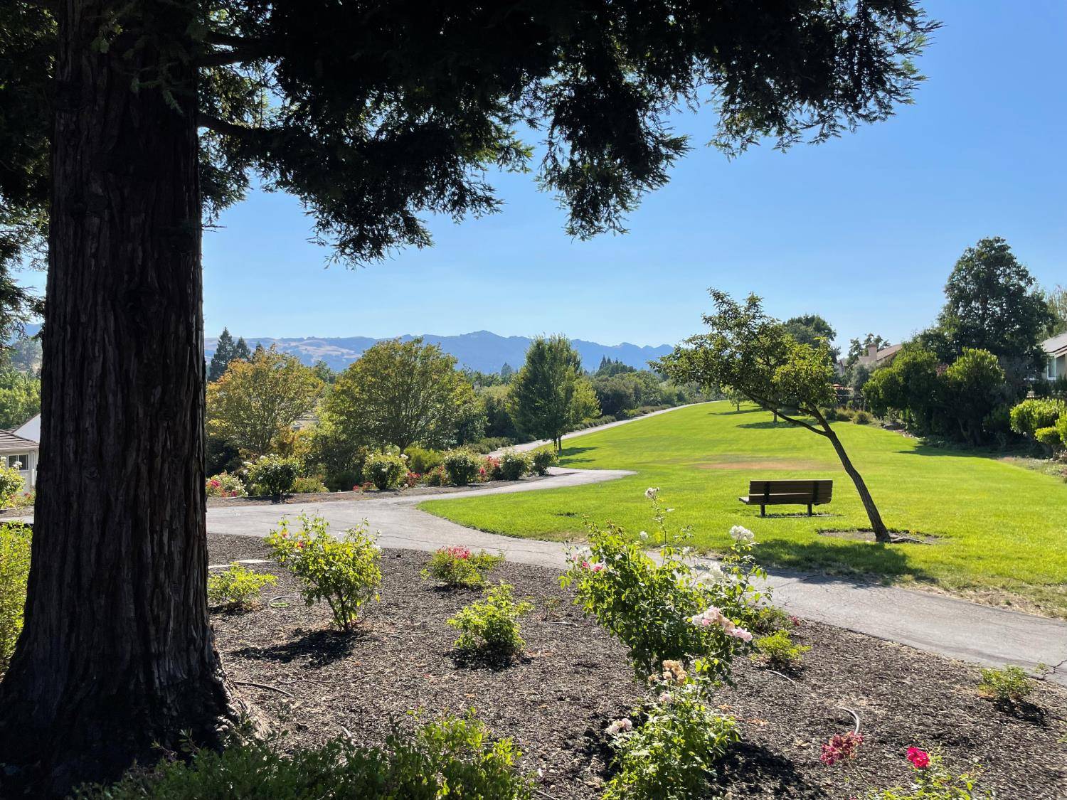 Danville, CA 94526,10 Glasgow CIR