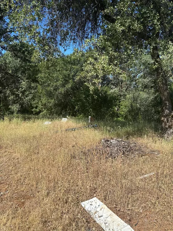 Rackerby, CA 95972,17232 Golden Arrow Trail