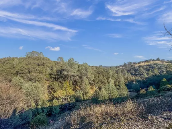 Angels Camp, CA 95222,0 Rolleri Bypass