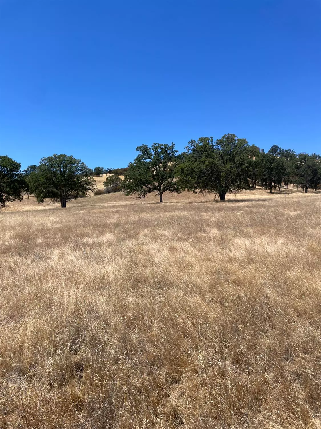 Stonyford, CA 95979,0 E Ruby King RD