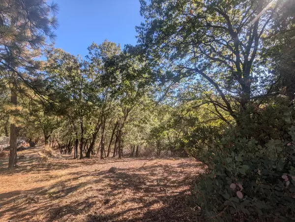 Colfax, CA 95713,123 Robbers Ravine