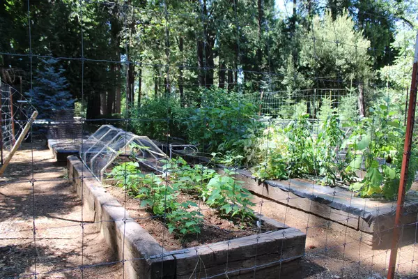 Placerville, CA 95667,2240 Union Ridge RD