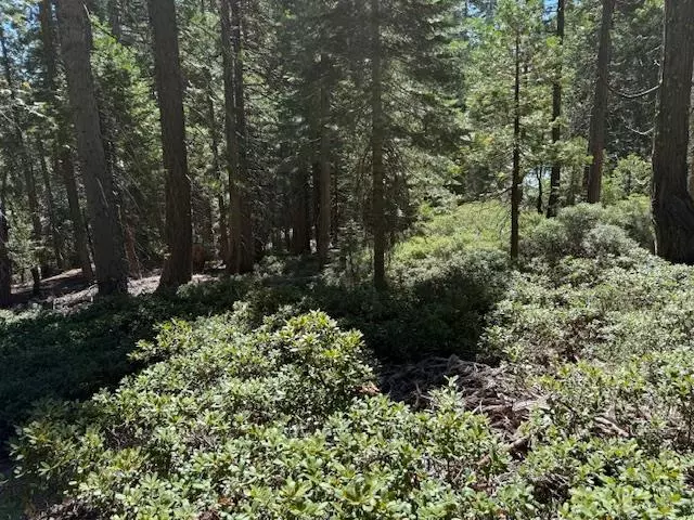 2780 Cedarview CT, Strawberry Valley, CA 95981