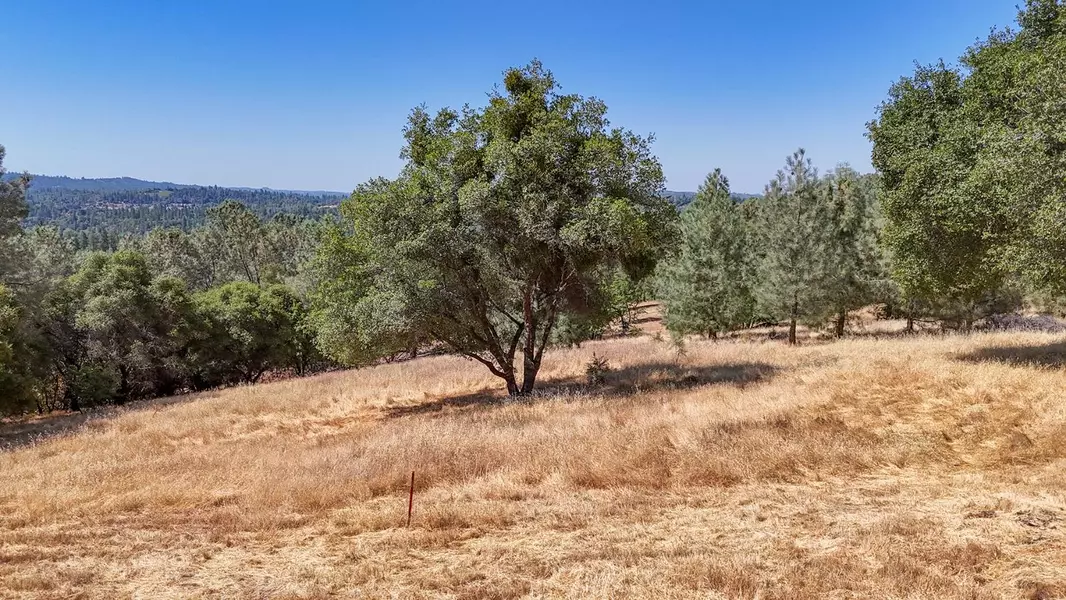 3371 State Highway 49, Placerville, CA 95667