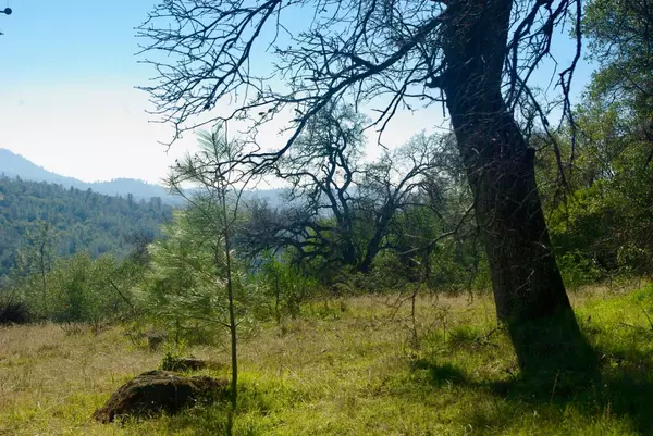 Nevada City, CA 95959,14331 Beitler RD