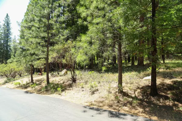 0 Rainbow TRL, Pollock Pines, CA 95726