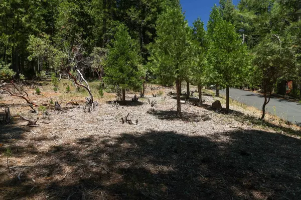 Pollock Pines, CA 95726,0 Rainbow TRL