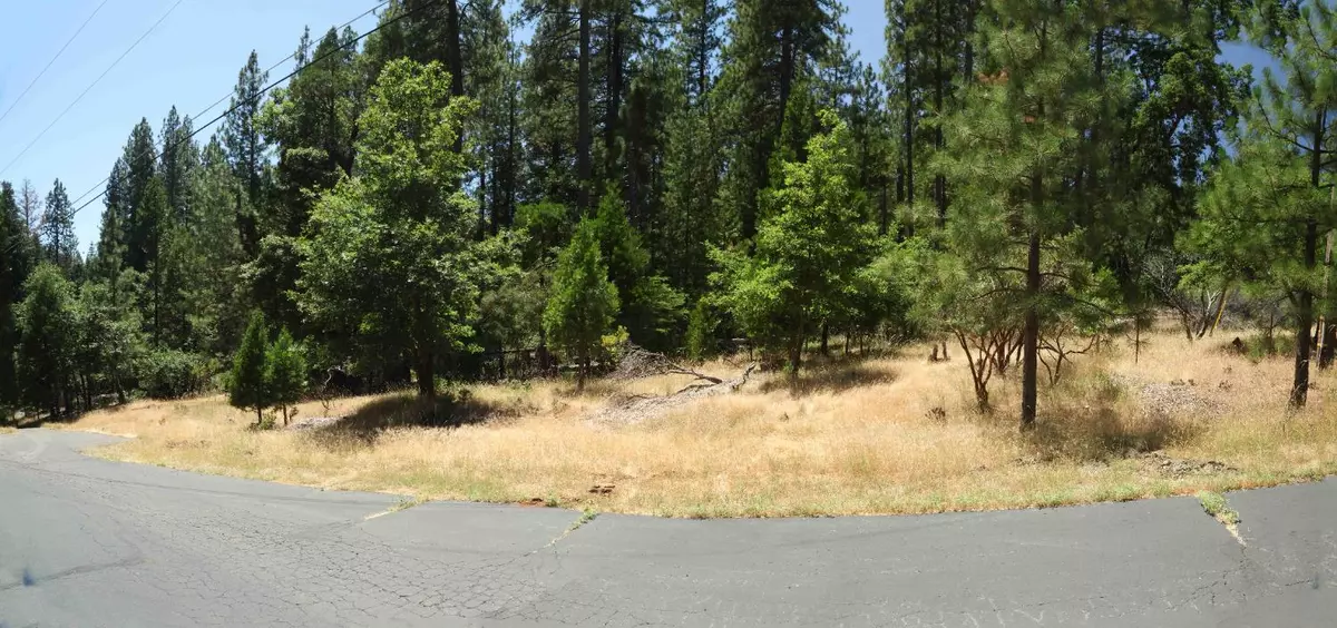 Pollock Pines, CA 95726,0 Speckled RD