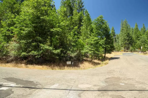 Pollock Pines, CA 95726,0 Speckled RD