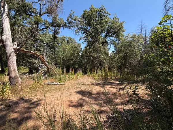 Nevada City, CA 95959,15473 Blind Shady RD