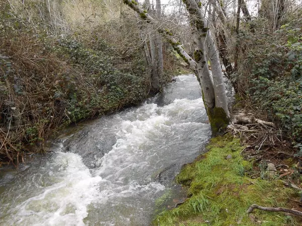 Georgetown, CA 95634,7040 Goferbroke RD