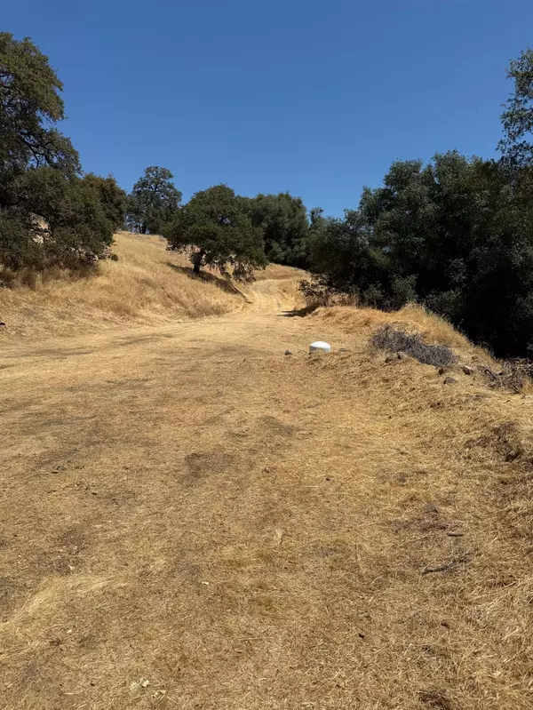Grass Valley, CA 95949,14845 Rainier RD