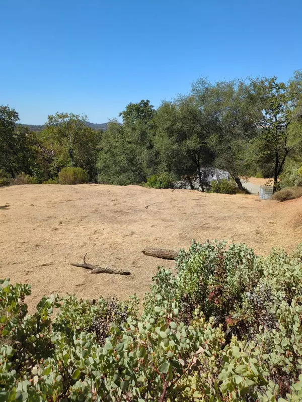 Grass Valley, CA 95949,13417 Hallwood PL