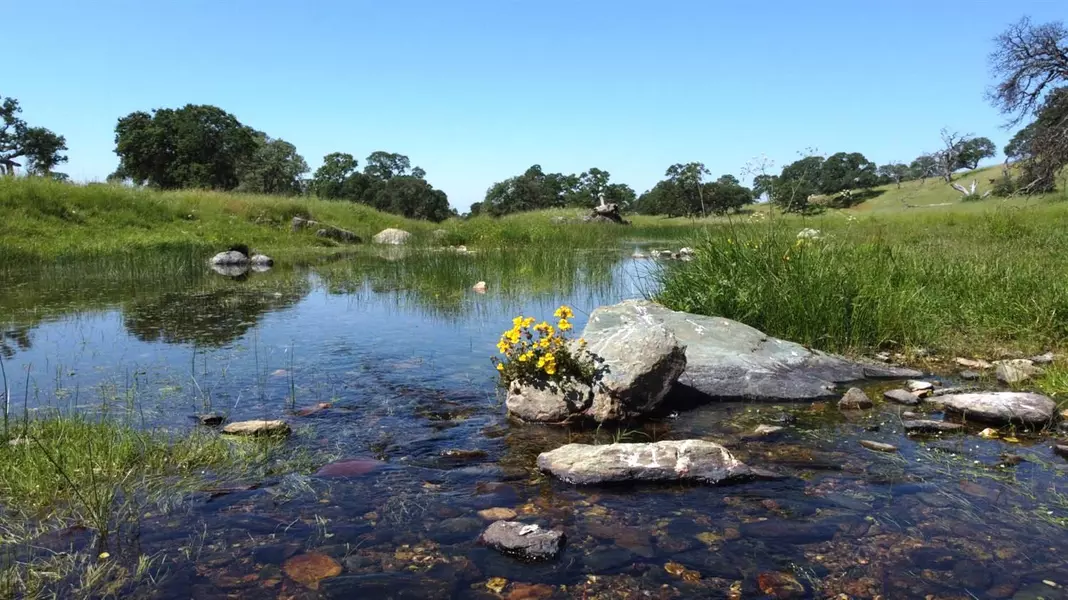 1 Zorro RD, La Grange, CA 95329