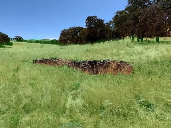La Grange, CA 95329,1 Zorro RD