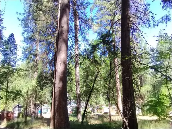 506 Silva AVE, Nevada City, CA 95959