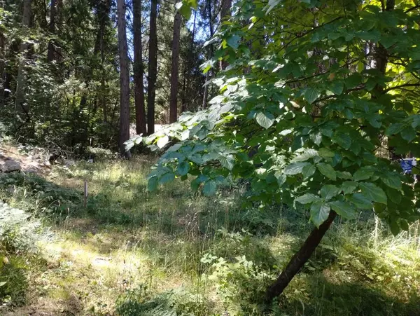 Nevada City, CA 95959,506 Silva AVE