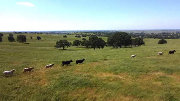 La Grange, CA 95329,3 Zorro RD