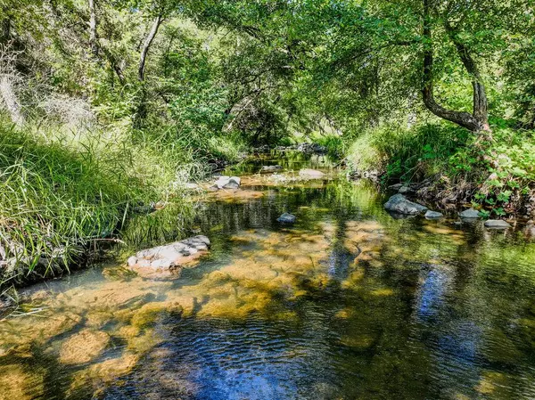 Grass Valley, CA 95949,11476 Tom Ray DR