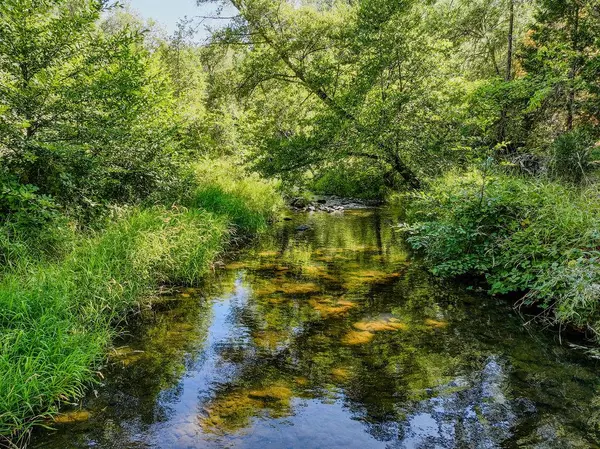 Grass Valley, CA 95949,11476 Tom Ray DR