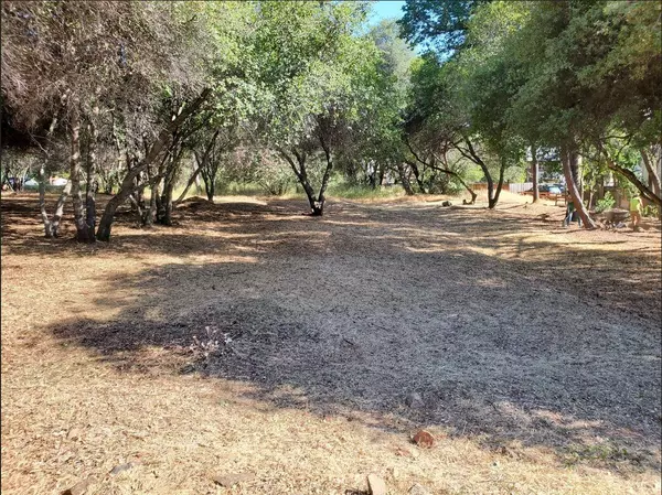 3394 La canada DR, Cameron Park, CA 95682
