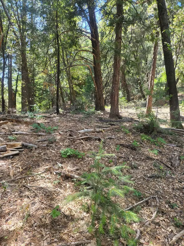 Nevada City, CA 95959,15555 Buckeye RD