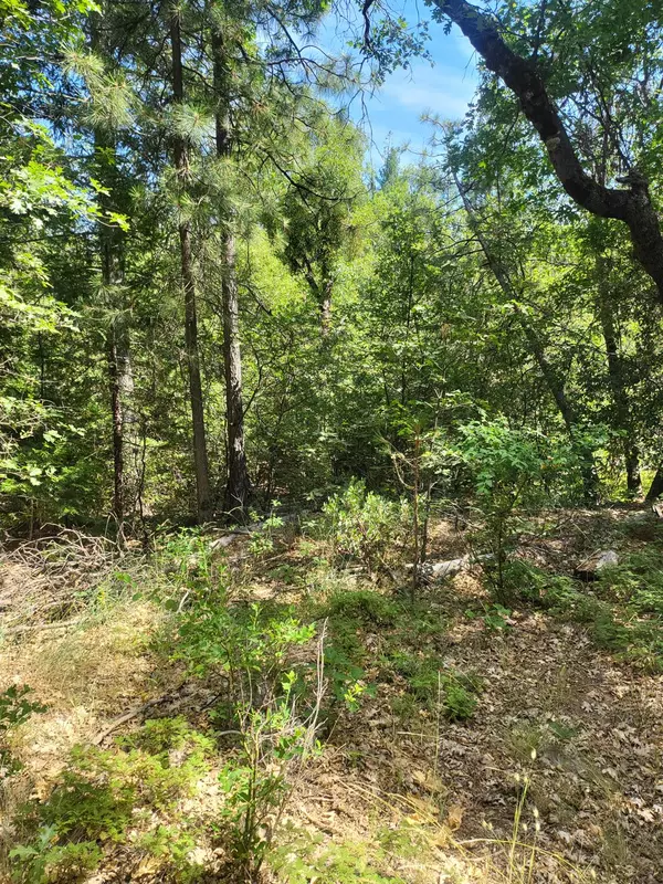 Nevada City, CA 95959,15555 Buckeye RD