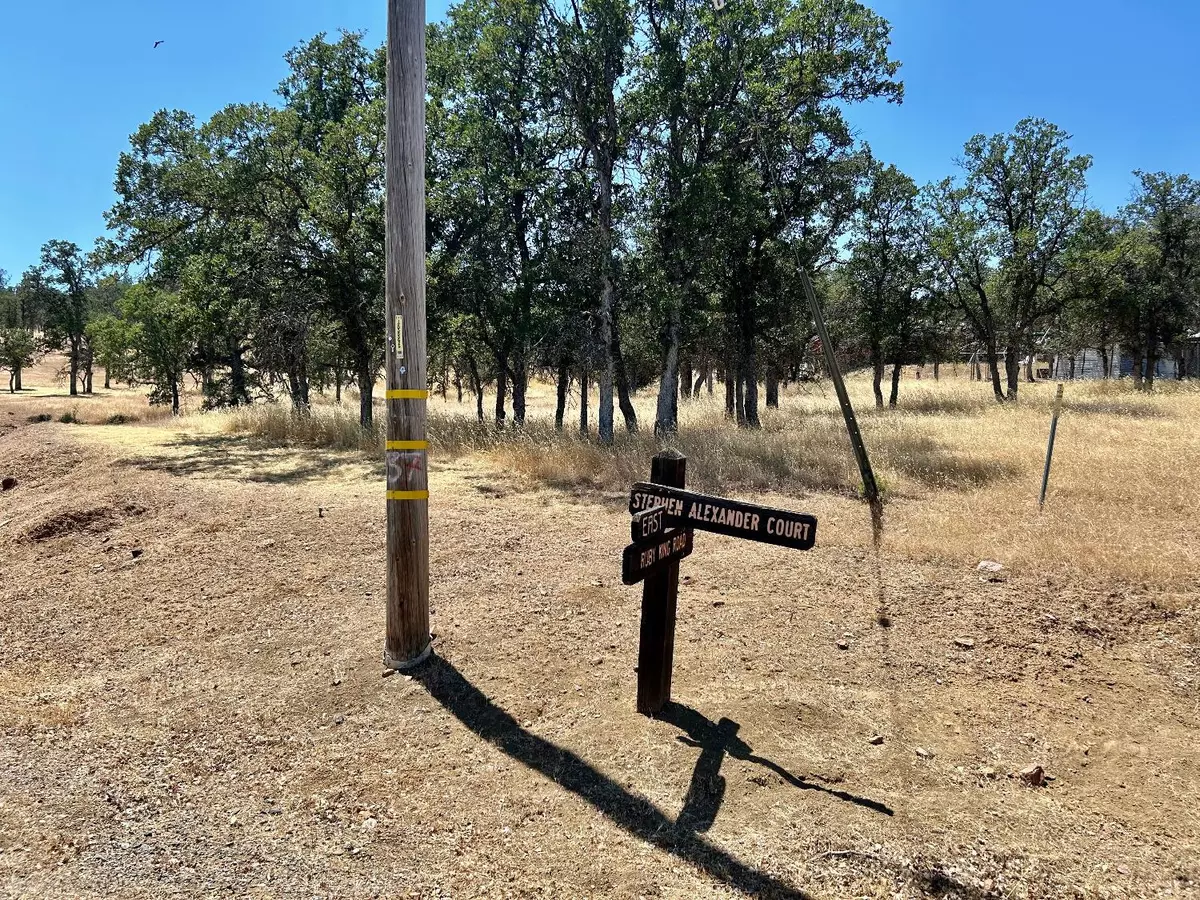 Stonyford, CA 95979,0 E Ruby King RD