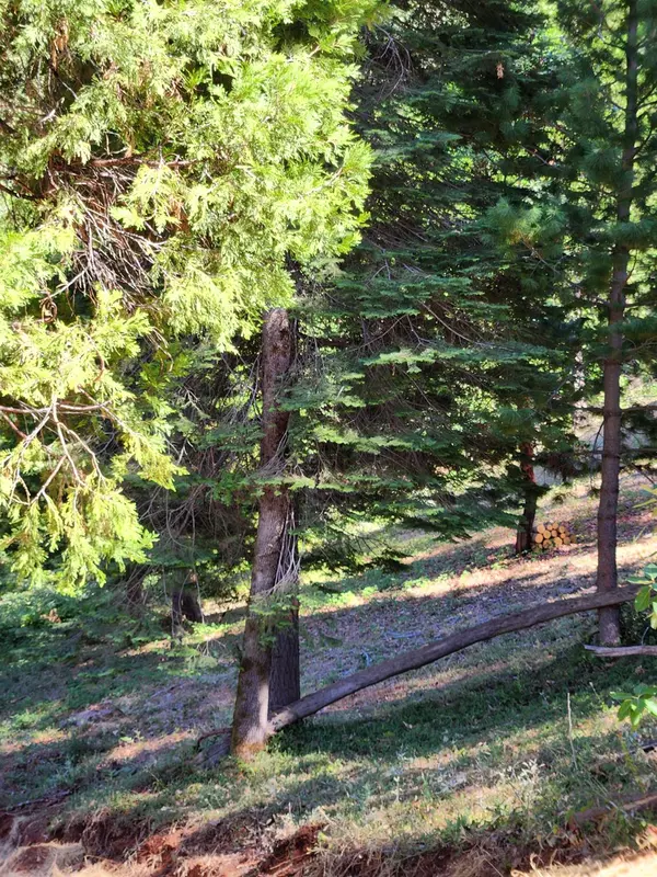 Nevada City, CA 95959,11068 Merrill CT