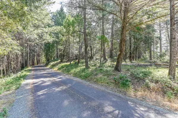Volcano, CA 95689,21670 Clute Canyon RD