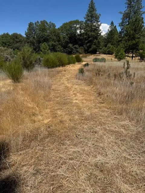 Nevada City, CA 95959,10884 Milky WAY