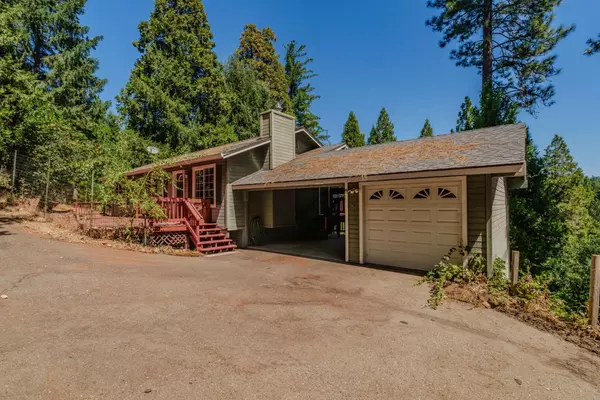 19000 Circle View DR, Pioneer, CA 95666