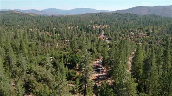 Coulterville, CA 95311,6466 Dogtown RD