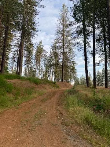 Applegate, CA 95703,530 Weaver Hill Lane