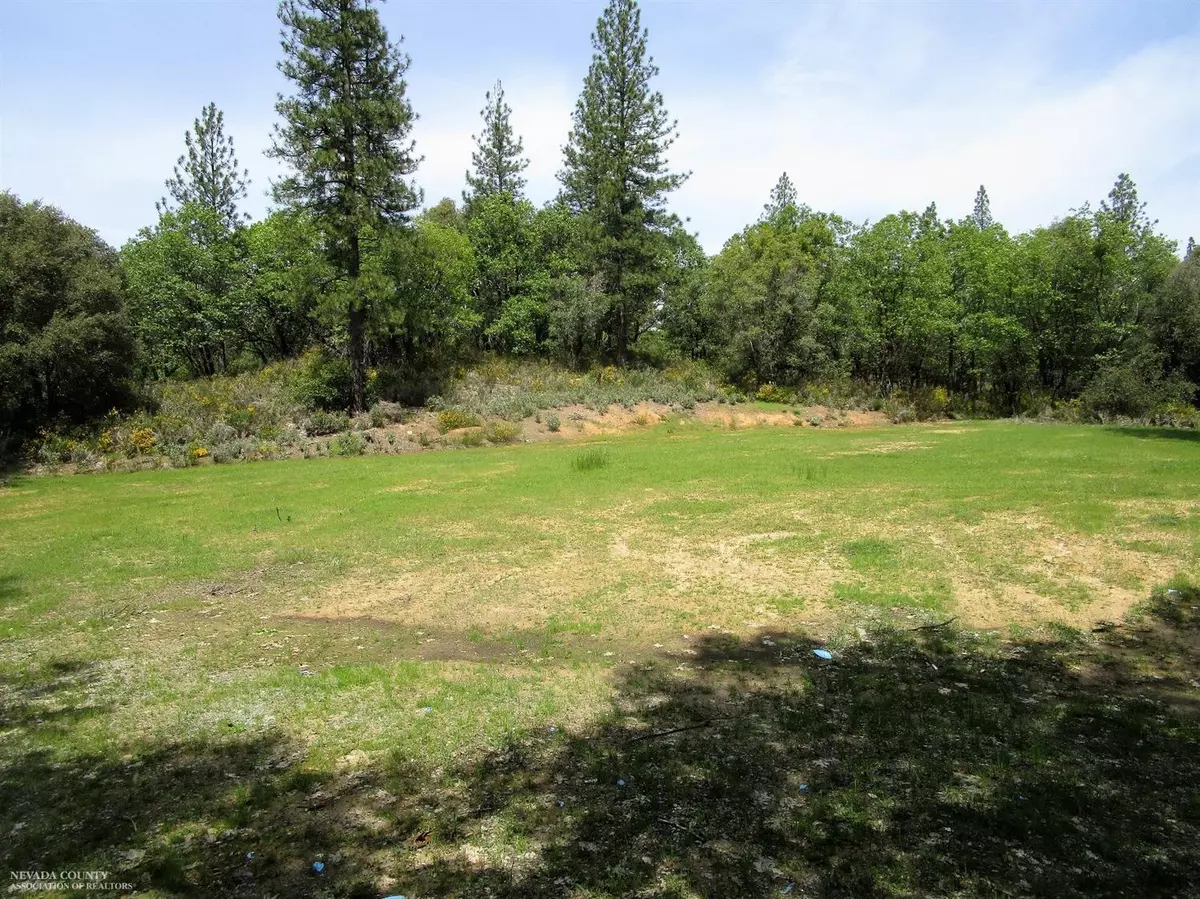 North San Juan, CA 95960,24271 Hoyt Crossing RD