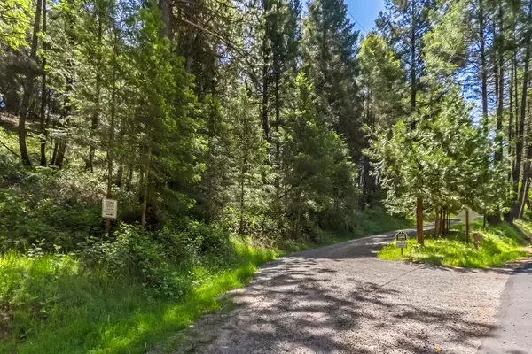 Colfax, CA 95713,22500 Canyon WAY