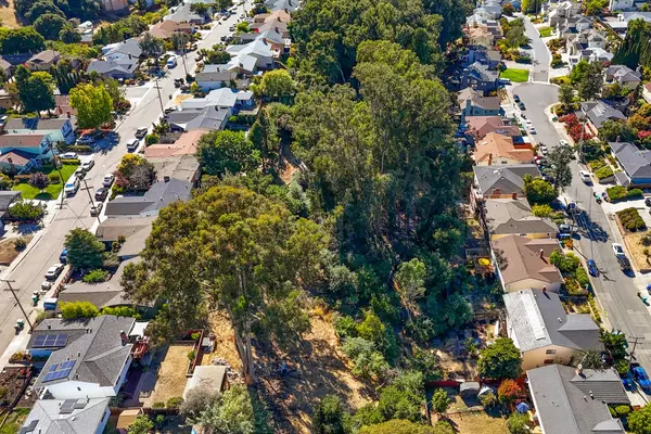 Hayward, CA 94541,1 Nina ST