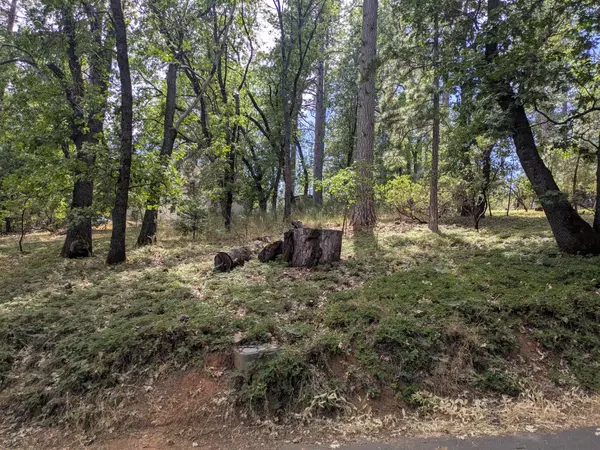 Camino, CA 95709,0 Gardella LN