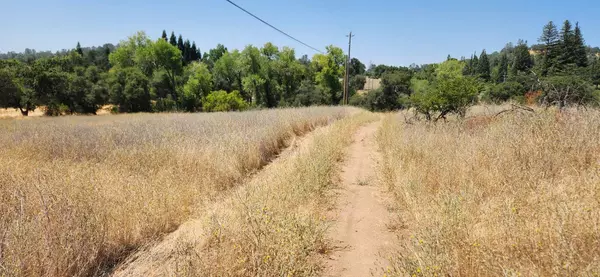 0 Taylor, Newcastle, CA 95658